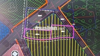  đất trồng cây lâu năm tại xã Bình Chánh, Tp.HCM
