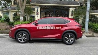 Lexus NX 300 2019 Đỏ