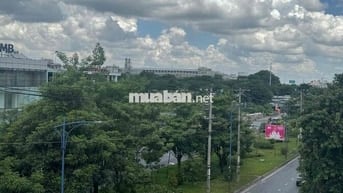 cho thuê nhà đường Trần Văn Giàu 17 phòng ngay kcn Bon chen