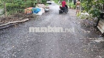 BÁN NHÀ HÓC MÔN - XE TẢI THÔNG - DT KHỦNG - GIÁ CỰC RẺ 