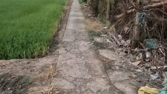 Bán 863.5 m vuông đất xã Tân Lân, Cần Đước , Long An giá 500 triệu đ