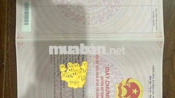Bán CC Mini Khương Đình, Ngã 4 Sở- Mặt Phố Xe Buyt, Sổ Từng Hộ