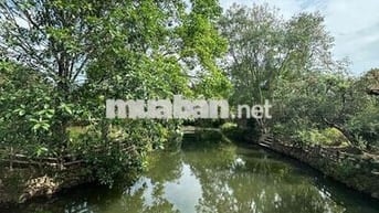 Em để lại nhà hàng xóm nghệ sĩ Xuân Hinh