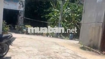 Chính chủ bán  lô đất  200m2,  thổ cư đầy đủ