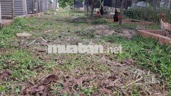 nhà ở và đất thích hợp nghĩ dưỡng 