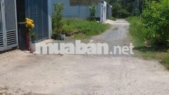 CẦN BÁN LÔ ĐẤT ĐẸP - 100% THỔ CƯ - P. TƯƠNG BÌNH HIỆP, THỦ DẦU MỘT