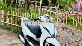 Honda Lead 2019 Trắng