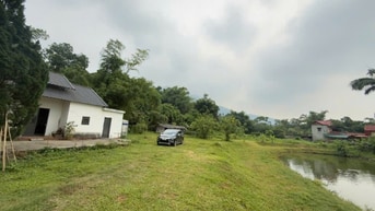 CẦN BÁN NHÀ VƯỜN VIEW CÁNH ĐỒNG DT 3100M TẠI LIÊN SƠN (CƯ YÊN CŨ)