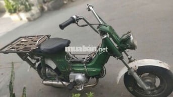 Honda Chaly Xanh lá