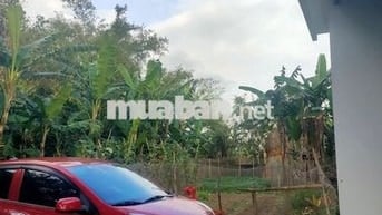 Kia Morning 2018 Đỏ