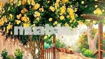 Cho thuê phòng nhà mặt tiền đường Hồng Lạc