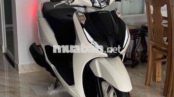Honda Lead CBS 2026 Trắng ODO 958 km