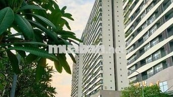 Cần cho thuê Diamond Lotus Riverside 2PN-1WC,  Full Nội Thất_Giá 14tr