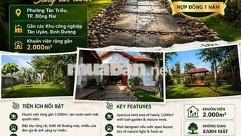 Cho thuê biệt thự sân vườn 2.000m² – Resort giữa lòng Tân Triều