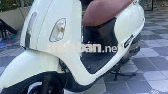 SYM Attila 50cc 2022 Trắng