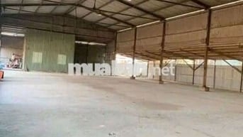 Cho Thuê 2000m. giá 55tr /1 tháng Đường Quách Điêu Vĩnh Lộc A