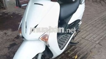 Honda Lead 2010 Trắng