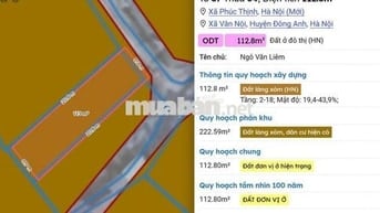 🔥 CHÍNH CHỦ BÁN ĐẤT THỔ CƯ VIÊN NỘI – XÃ PHÚC THỊNH (XÃ VÂN NỘI CŨ)