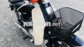 Honda Cup 50 Đèn vuông Trắng, Xanh