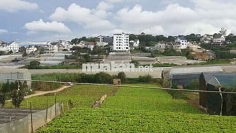 Đà Lạt BÁN 122 m2 đất NN làm nhà ở