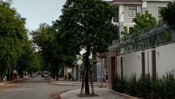 Nhà Biệt thự Q2, khu siêu giàu 