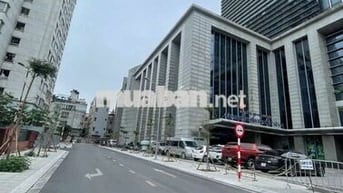 Cho thuê nhà phố lẠc Trung - ô tô tránh ngày đêm -60m2 - 4 ngủ