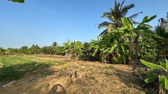 BÁN 2 SỔ ĐẤT Tân An, Long An cũ