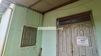 BMT - Cho thuê nhà nguyên căn giá rẻ 3PN