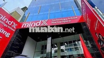 Cho thuê VP 3/2 Q10, 100m2, sàn suốt, đầy đủ ánh sáng tự nhiên