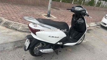 Honda Lead Trắng