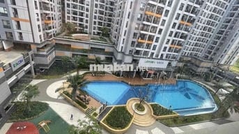 Chính Chủ Cần Bán Căn Hồ Bơi Lầu 8- Hàng đẹp