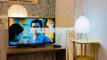 Cho thuê nguyên căn studio - Hẻm 214 Nguyễn Trãi