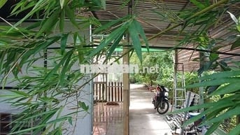 📢 CHÍNH CHỦ BÁN ĐẤT CÓ NHÀ VƯỜN 699trieu – 5x65m – SỔ HỒNG RIÊNG