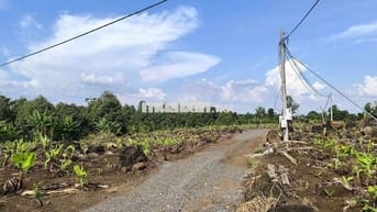 Cần Bán Gấp 1hec5 tại Xã Phú Hòa, Thành Phố Đồng Nai