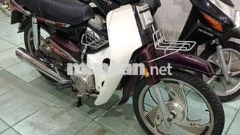 DAYANG Dream nâu, Trắng Hàn Quốc