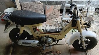 Honda Chaly 2009 Vàng