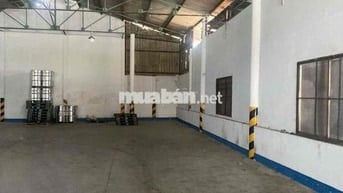 Cho thuê kho gần ngã tư Địa Chất, Thủ Dầu Một. Diện tích 300m² Thuận t