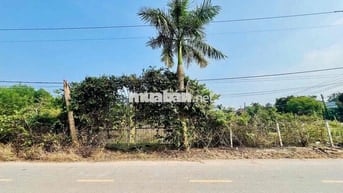 Chính chủ cần Bán đất Phước Thuận, Xuyên Mộc, TPHCM