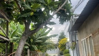 BÁN ĐẤT THỔ CƯ TT KHÁNH HẢI _ NINH THUẬN
