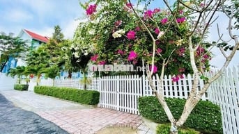 🌿 Đất Full Thổ Cư, Đất Rộng Vị Trí Đẹp Hiếm Có Tại Phước Vĩnh An🌳