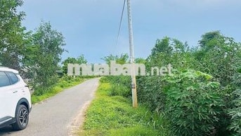 11x51 đường nhựa. 573m2 có thổ cư. Khu dân cư. 660tr TL