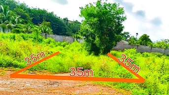 Công ty Đấu giá hợp danh Lam Sơn Sài Gòn thông báo đấu giá tài sản