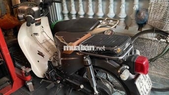Honda Cub Trắng, Xám Cổ điển