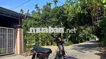 Honda Dream Tím Đã sử dụng