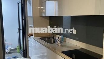 Chính chủ bán căn hộ Artemis sổ đỏ chính chủ lâu dài Bao phí sang tên