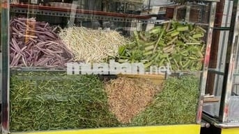 sang quán đang hoạt động rất đông khách, bao đến tận nơi quan sát