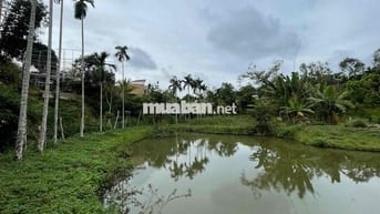 🌿 CHÍNH CHỦ BÁN KHU NHÀ VƯỜN BÊN SUỐI HIẾM CÓ – PHƯỜNG TÂN LẬP, BUÔN M