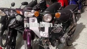 Cub 81/50cc Số máy 85 đầu bstinh17 cavec xanh gtdd