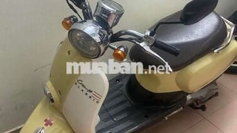 Honda Crea 2024 50cc Vàng kem