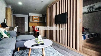 Cho thuê căn hộ biconsi tower 1 phòng ngủ full nội thất